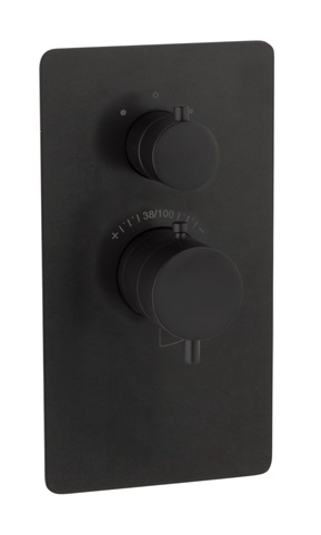 Trim thermostatic shower solid